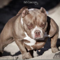 Short Muscles Coco.