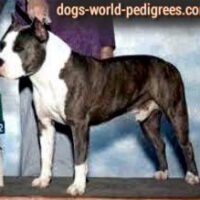 Nova Scotia Hurricane Waylon CGC.