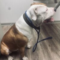 Big Baby aka Rene