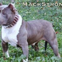 Fo$terville’$ Mack Strong
