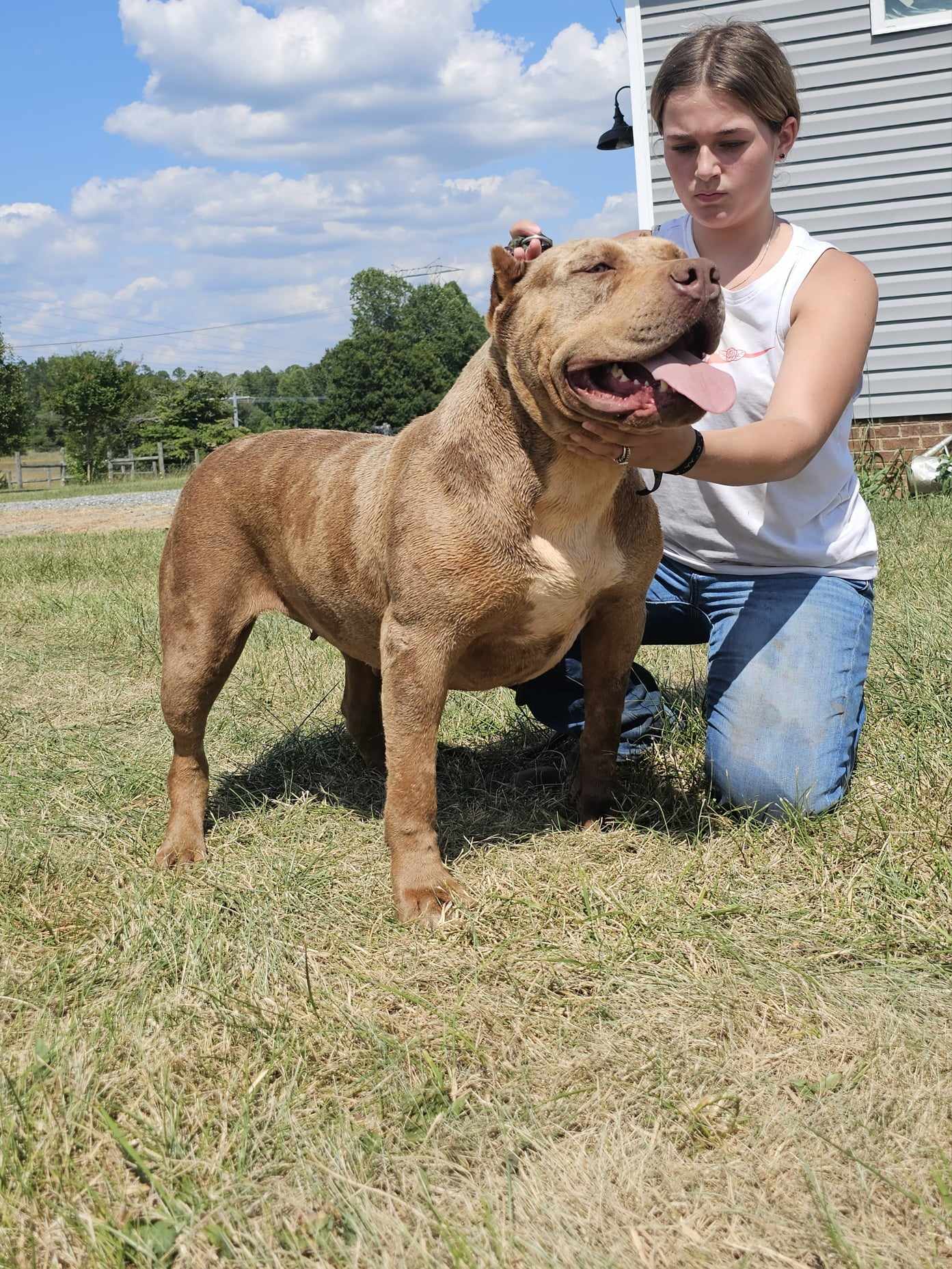 Dog Featured Image