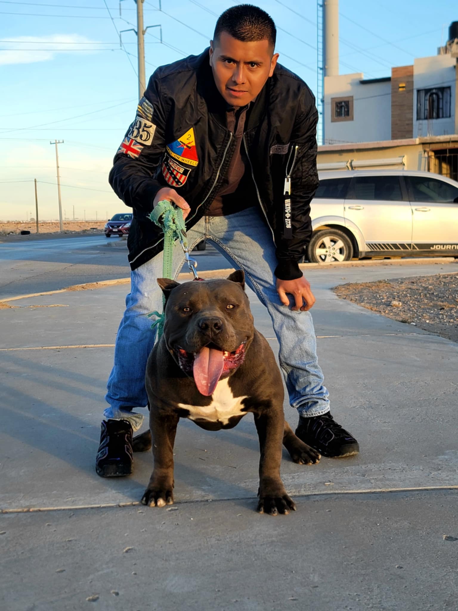 Dog Featured Image