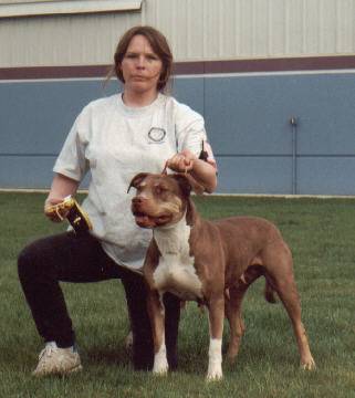 Dog Featured Image