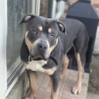 LCB’s Duke