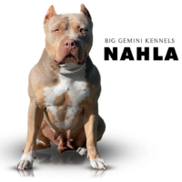 AE’s Nahla of BGK