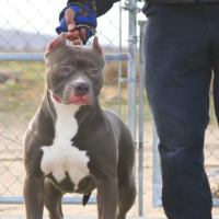 PR BGK’s Nakita