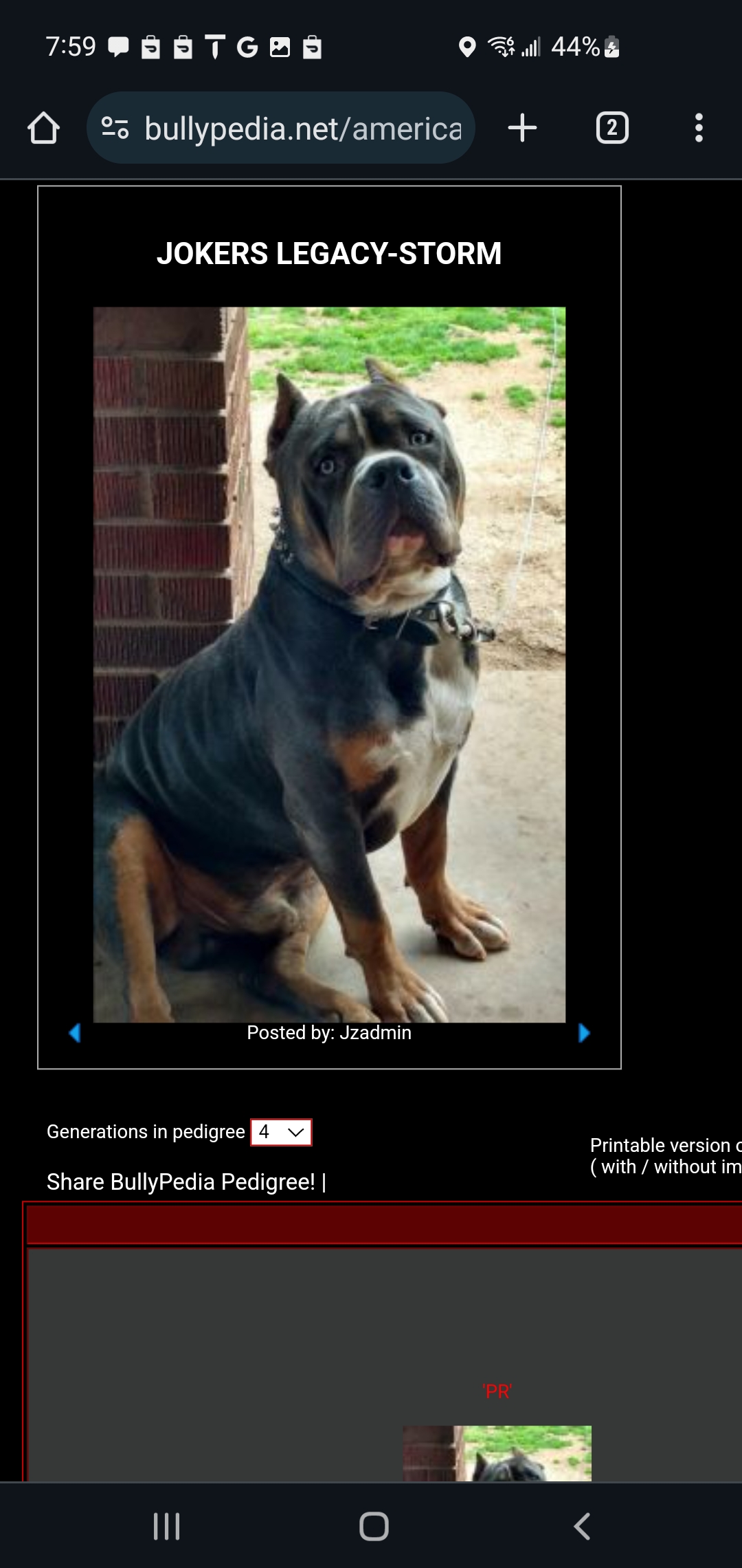 Dog Featured Image