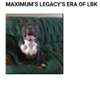 Maximums legacy era of lbk