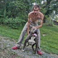 Dog Featured Image
