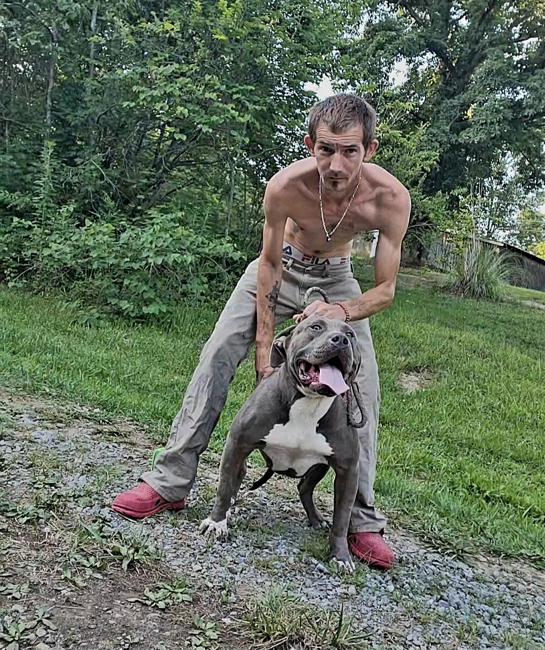 Dog Featured Image