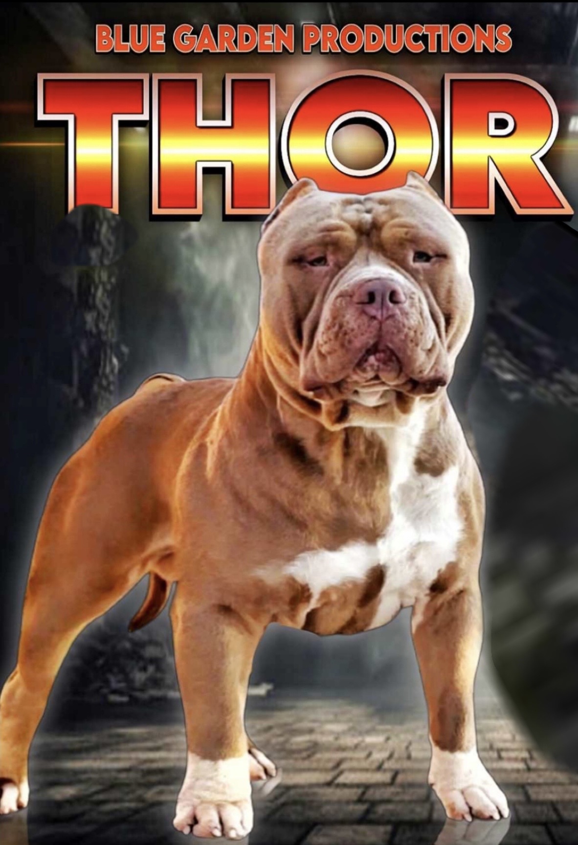 Dog Featured Image