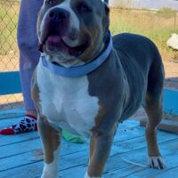 SBK’S Nala