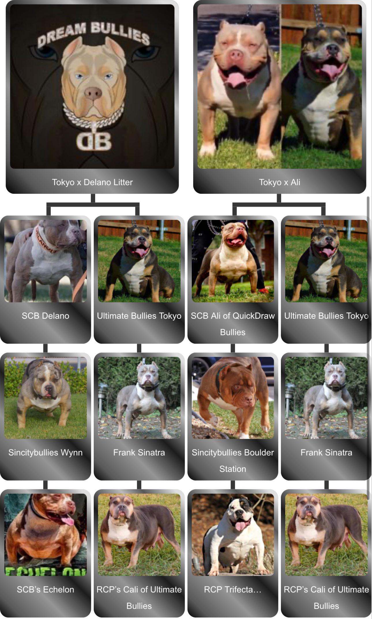Dog Featured Image