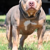 PBK’s Tezcatlipoca