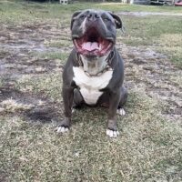Sky imthebullyxl