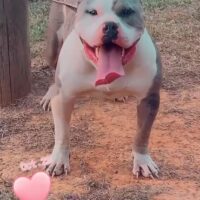 ATL’s MostHated Bunni