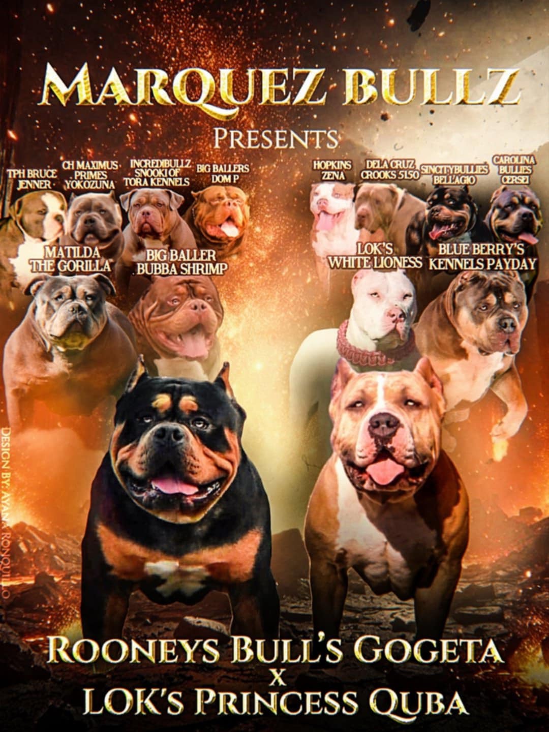 Dog Featured Image