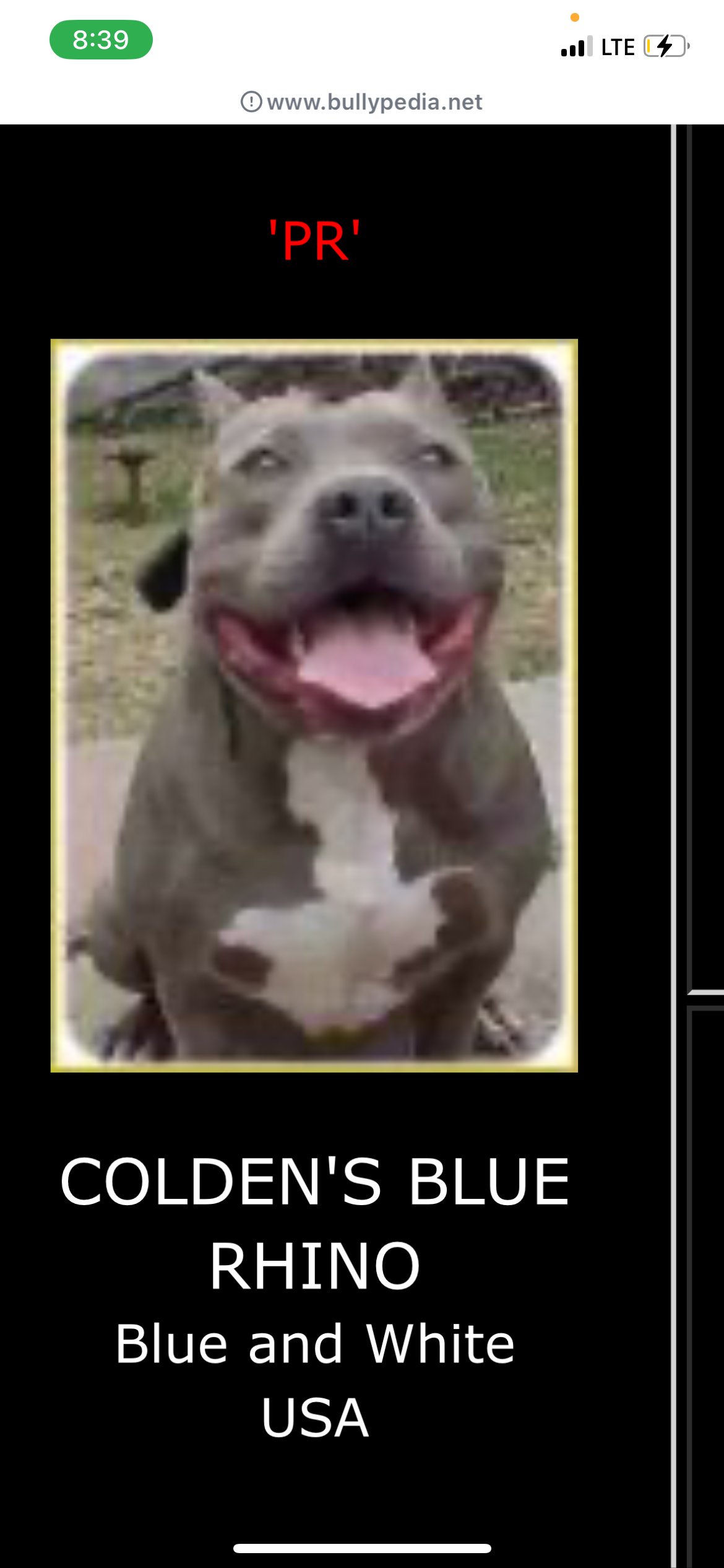Dog Featured Image