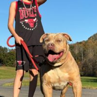 Dog Featured Image
