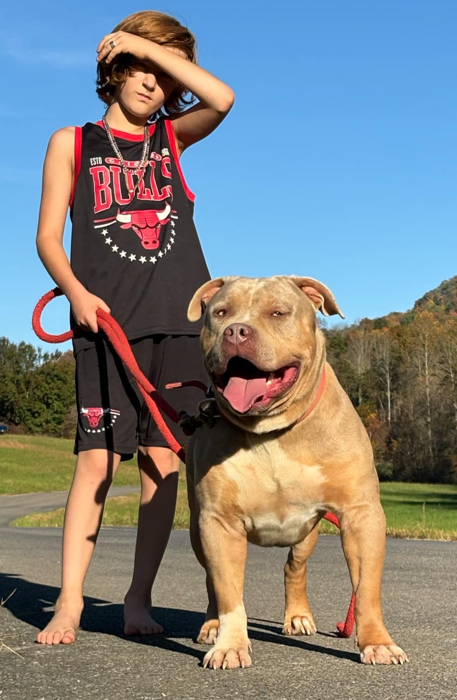 Dog Featured Image
