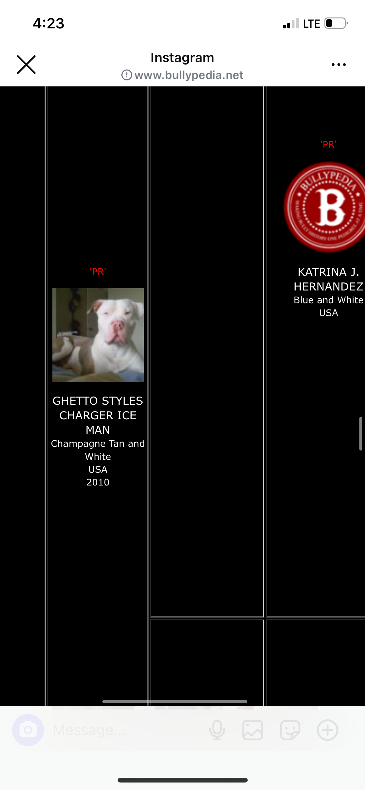Dog Featured Image