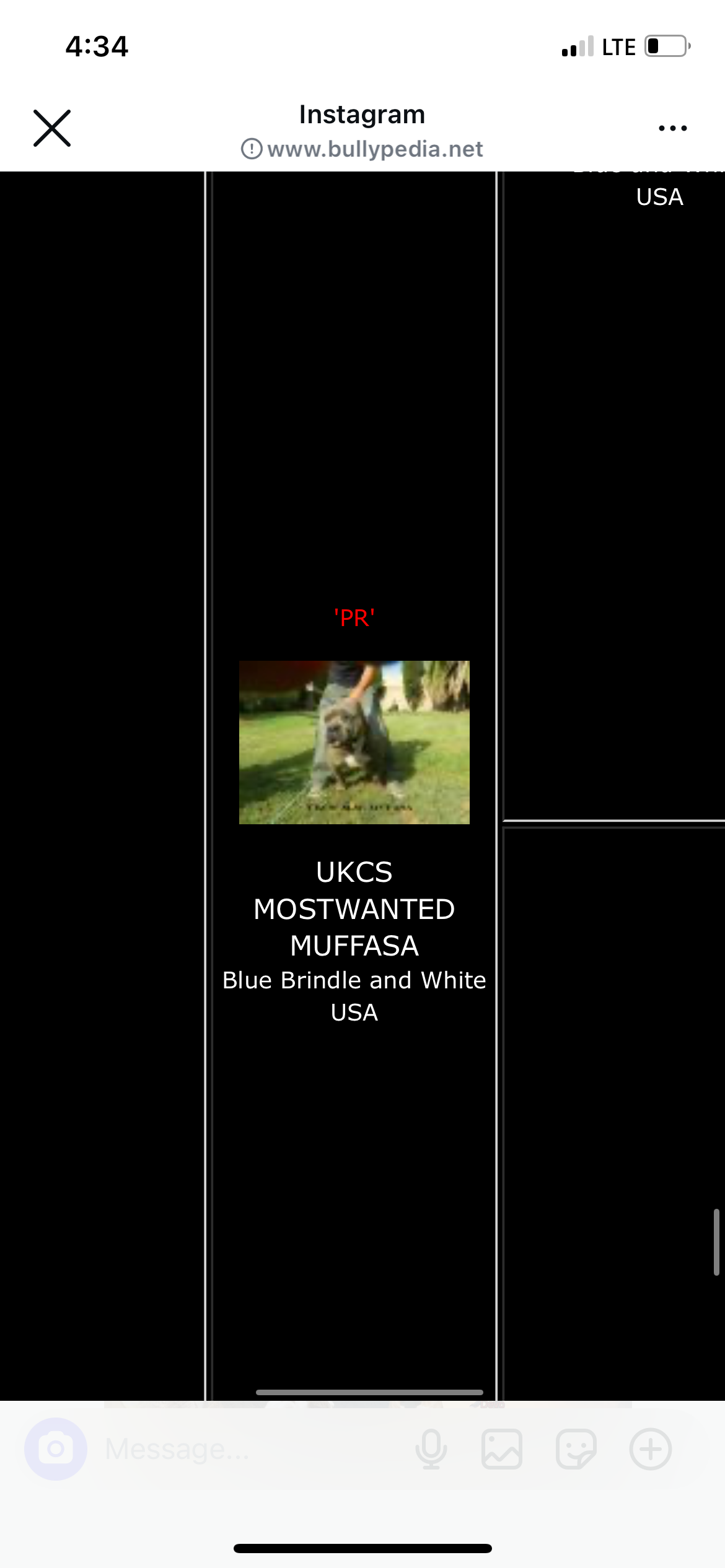 Dog Featured Image