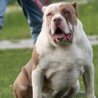 Stagline’s Gloria x Eddie