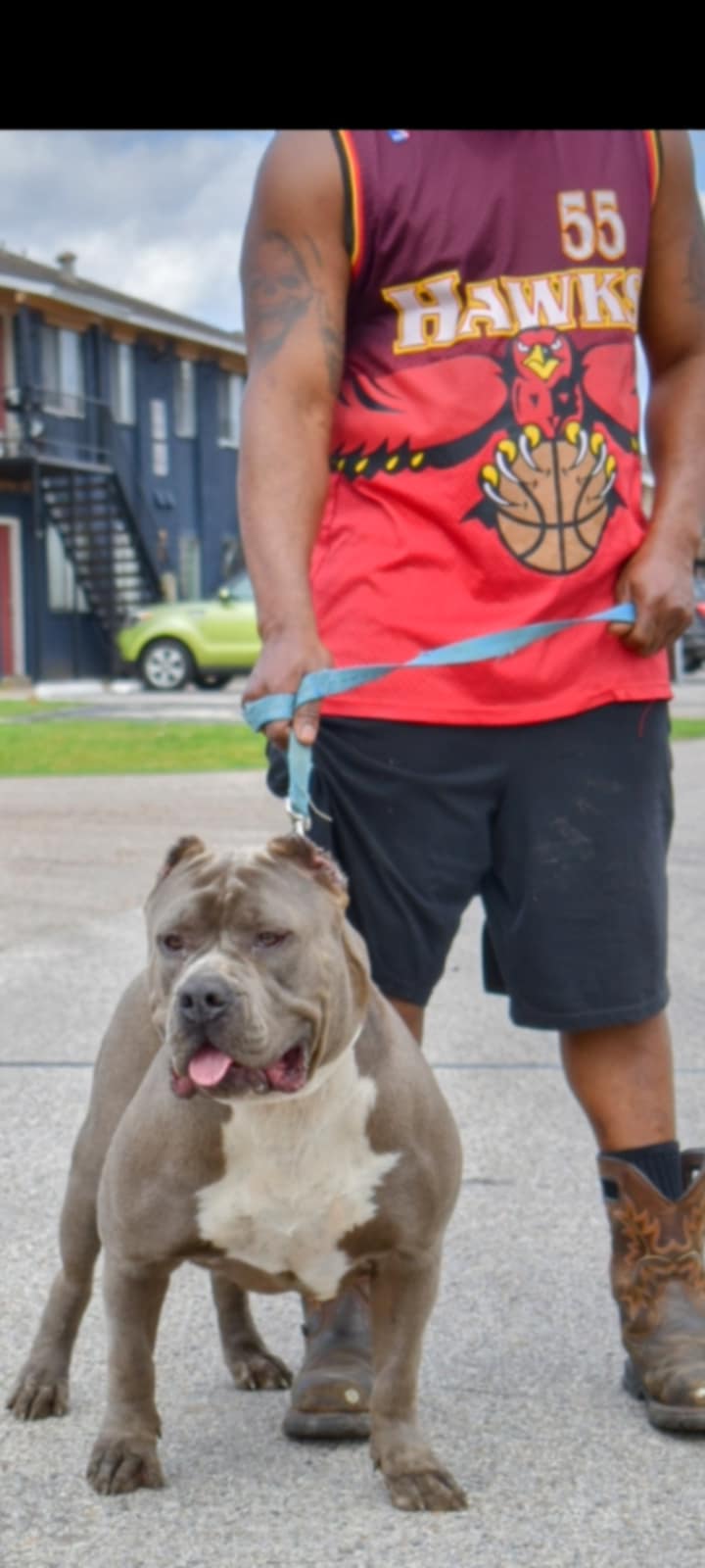Dog Featured Image