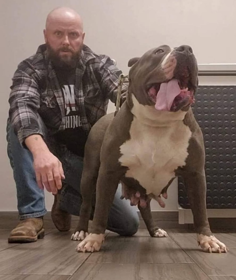 Dog Featured Image