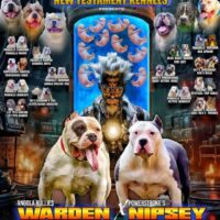 Warden x Nipsey