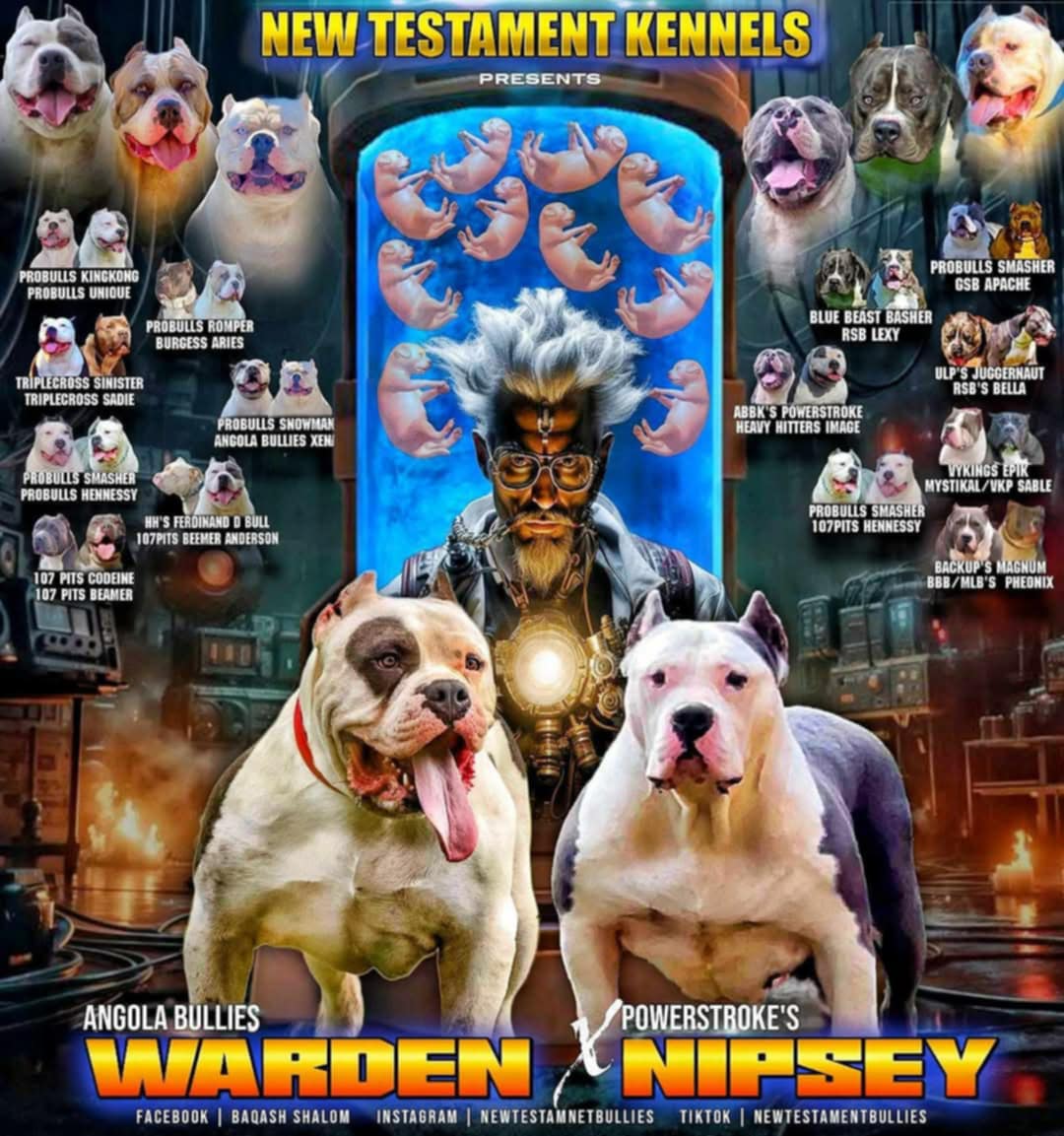 Dog Featured Image
