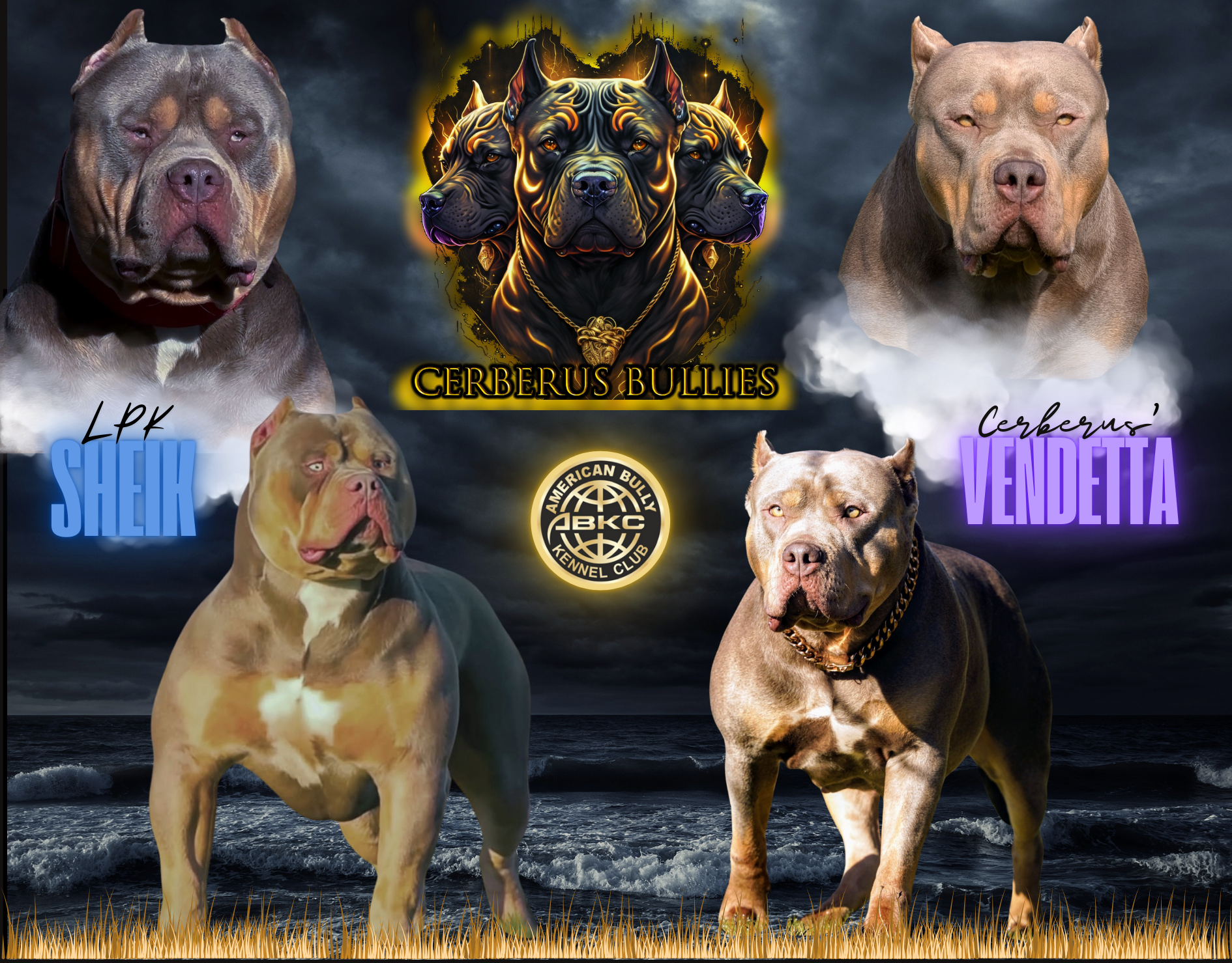 Dog Featured Image