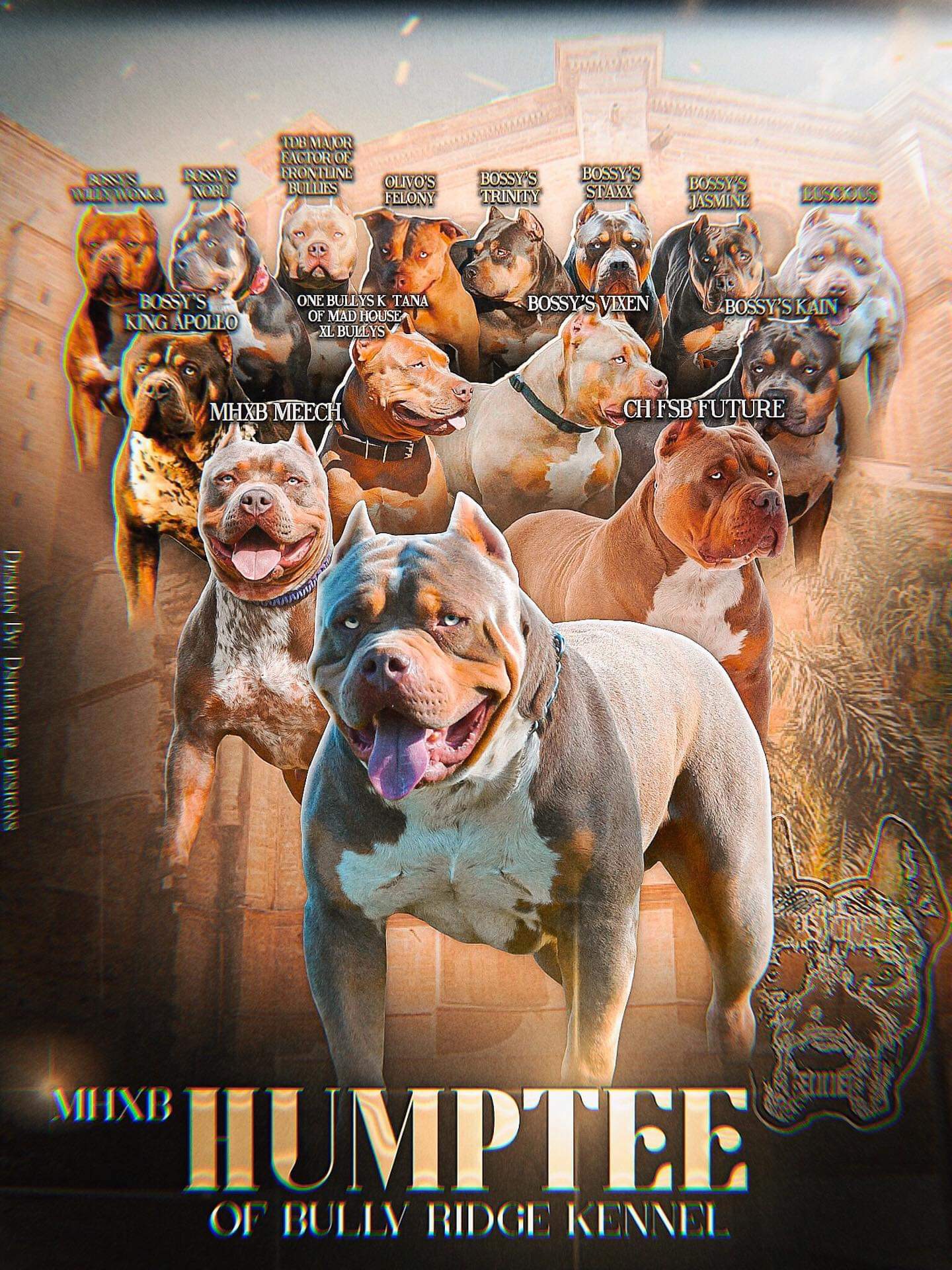 Dog Featured Image