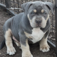 Taurusline’s Lil Baby