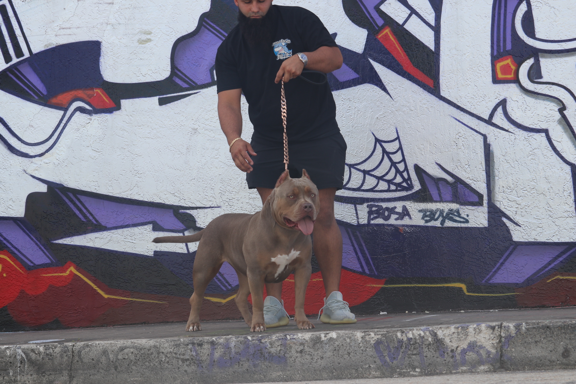 Dog Featured Image