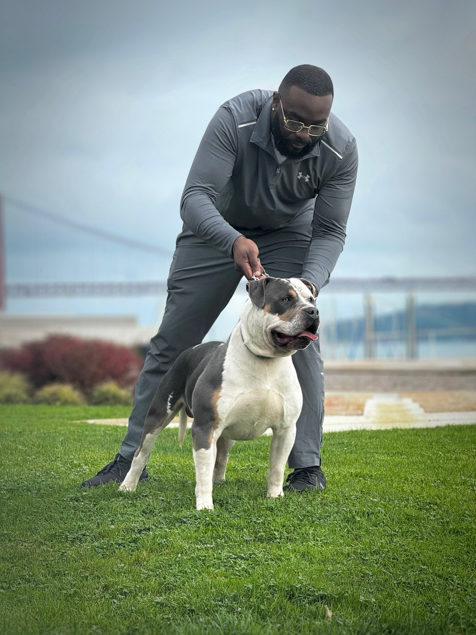 Dog Featured Image