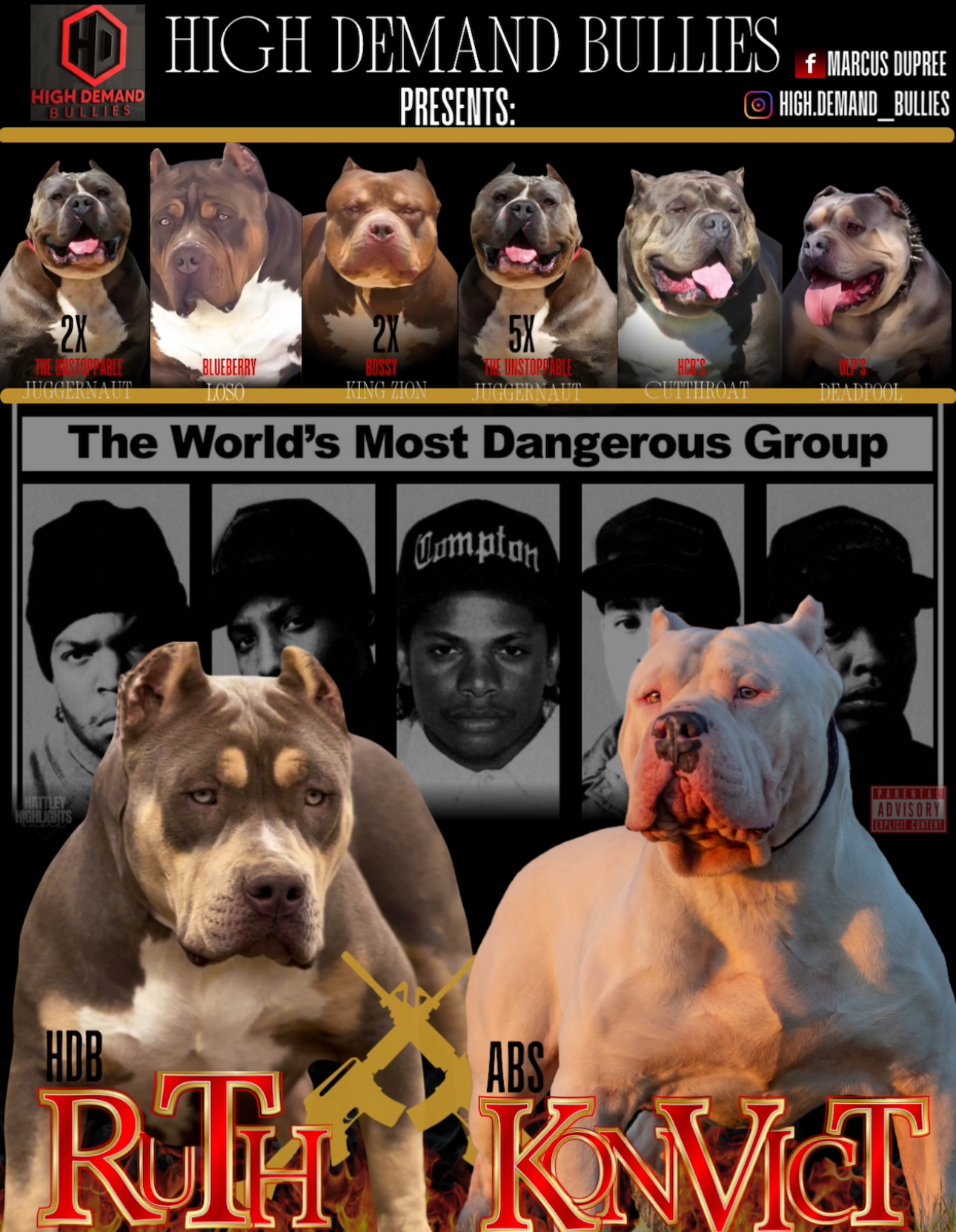 Dog Featured Image