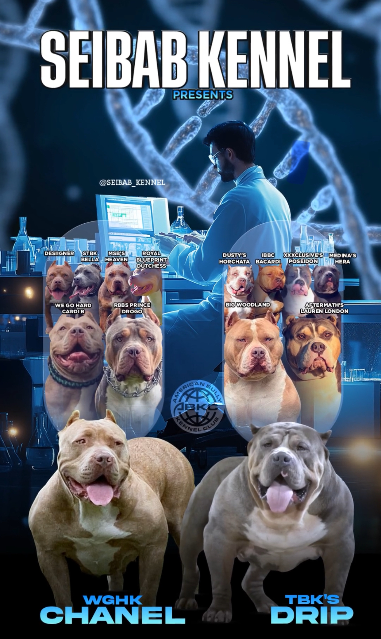 Dog Featured Image