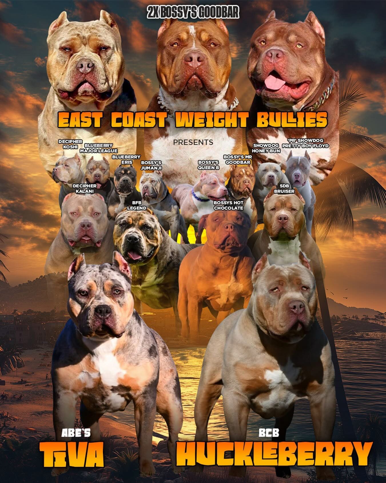 Dog Featured Image
