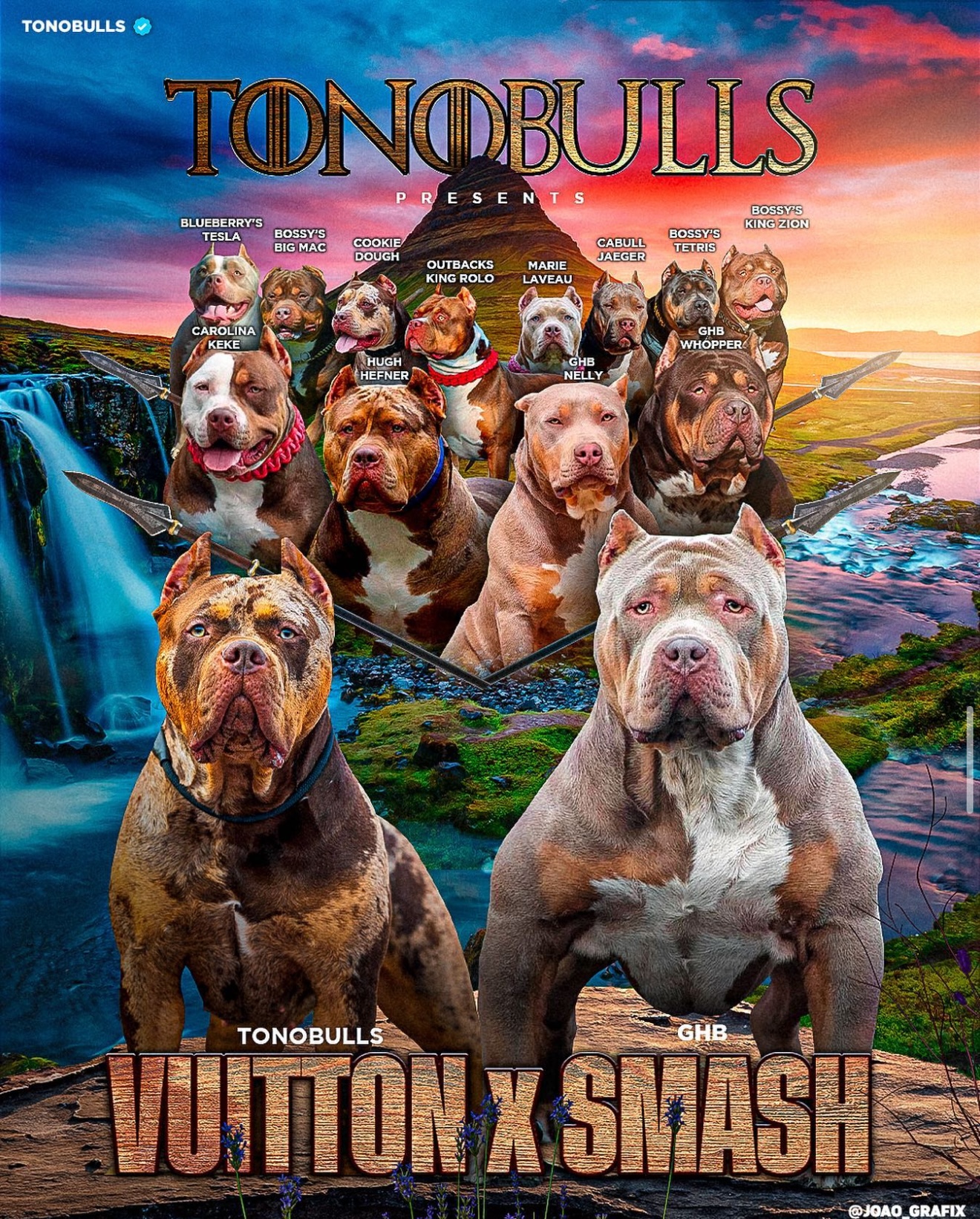 Dog Featured Image