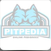 Tigerbulliesuk berthone