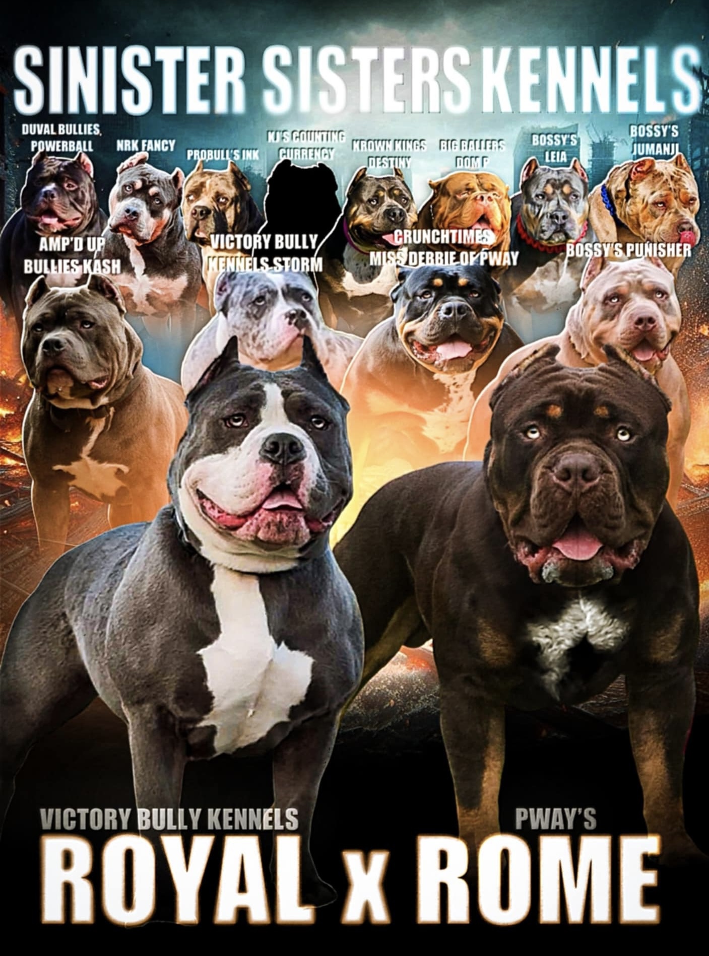 Dog Featured Image