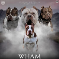 Wham Of Sigma6ix