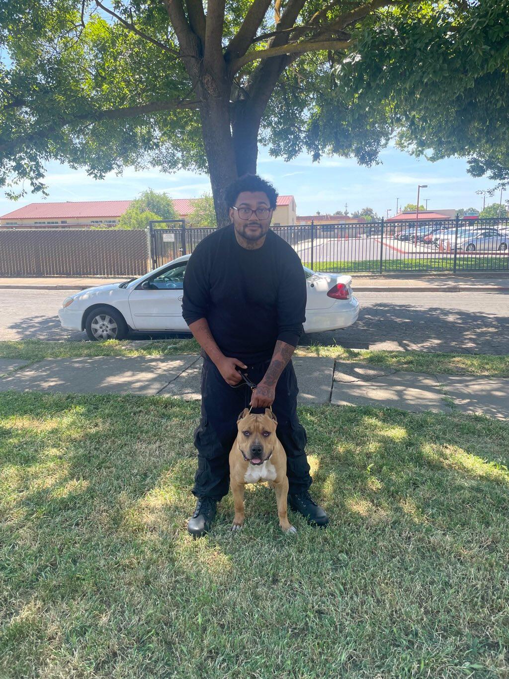 Dog Featured Image