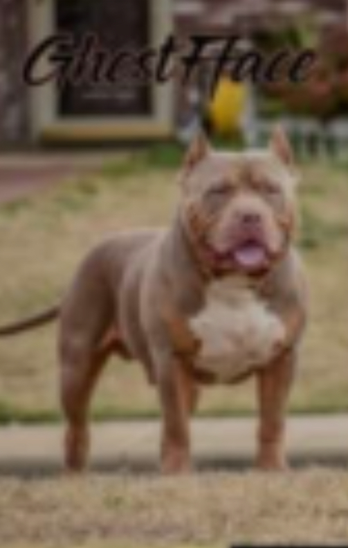 Dog Featured Image