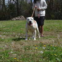 OBK’s Lucki Zakai