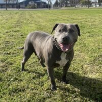 VHB’s Kutzi Baby