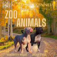 RPK Zoo Animals