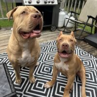 Southern Elite’s Nala