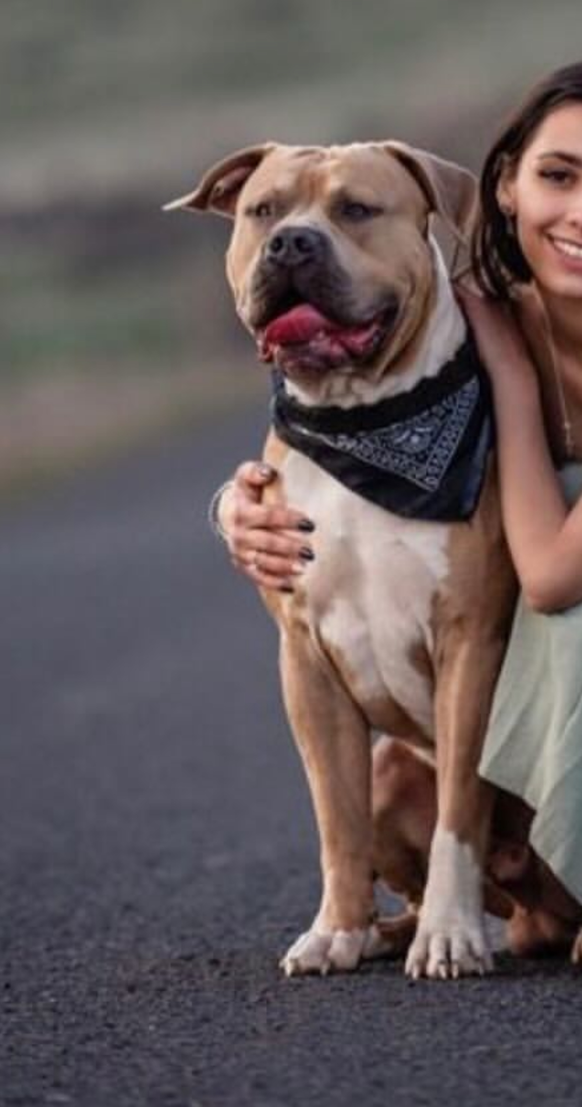 Dog Featured Image